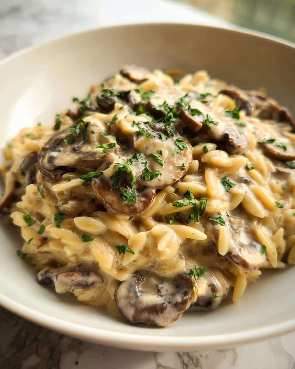 A close-up shot of rich, creamy mushroom orzo pasta topped with sliced mushrooms and fresh parsley.